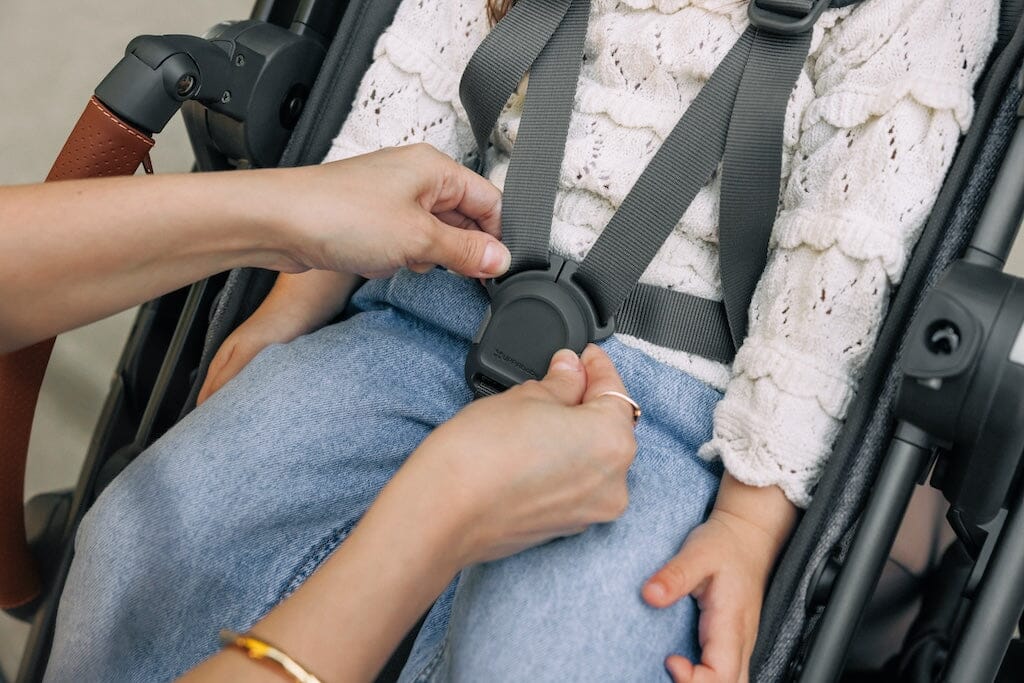 UPPAbaby Vista V3 Convertible Stroller
