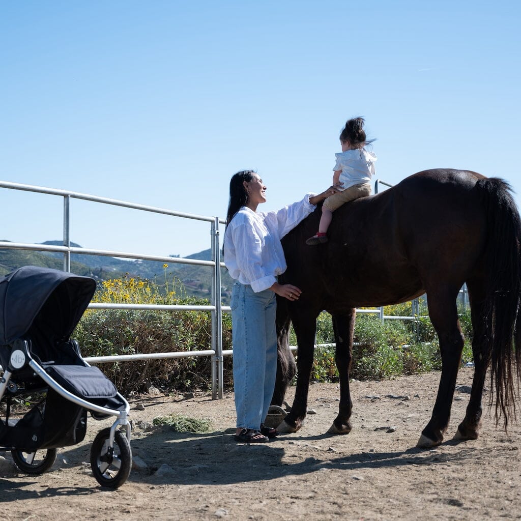 Bumbleride Indie Jogging Stroller